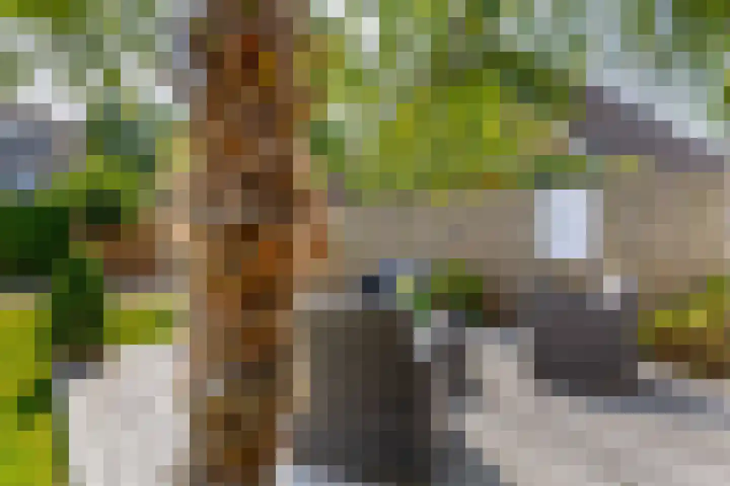 Aldebaran 15 Lemmer thumbnail 28