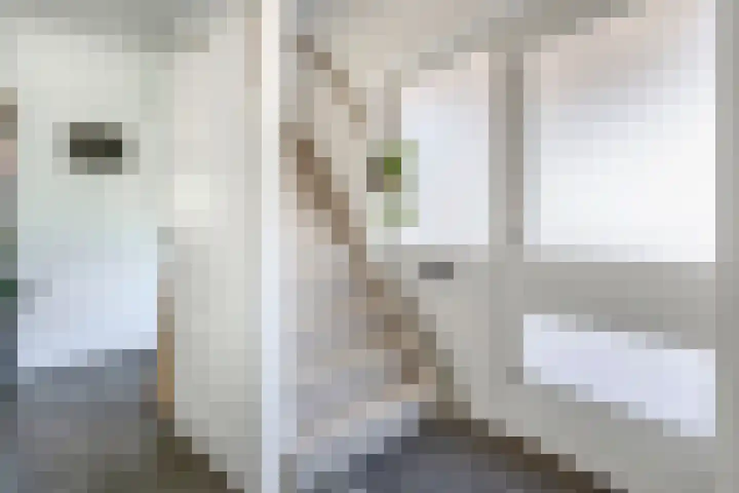 Aldebaran 15 Lemmer thumbnail 9