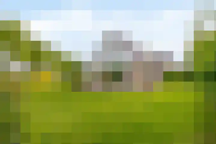 Aldebaran 33 Lemmer thumbnail 47