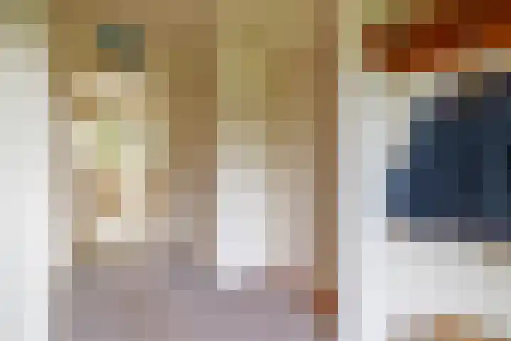 Aldebaran 33 Lemmer thumbnail 8