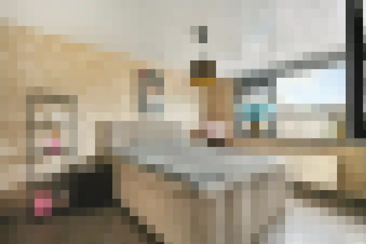 Aldebaranhof 25 Dordrecht thumbnail 16