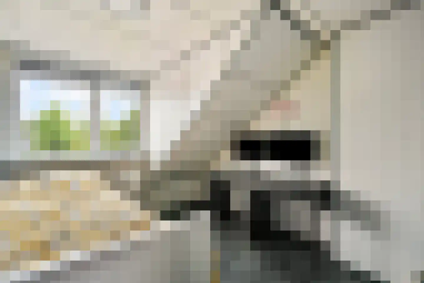 Aldebaranhof 25 Dordrecht thumbnail 25