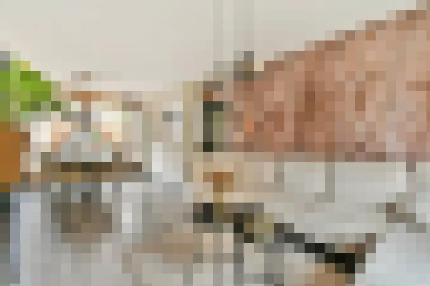 Aldebaranhof 25 Dordrecht thumbnail 5