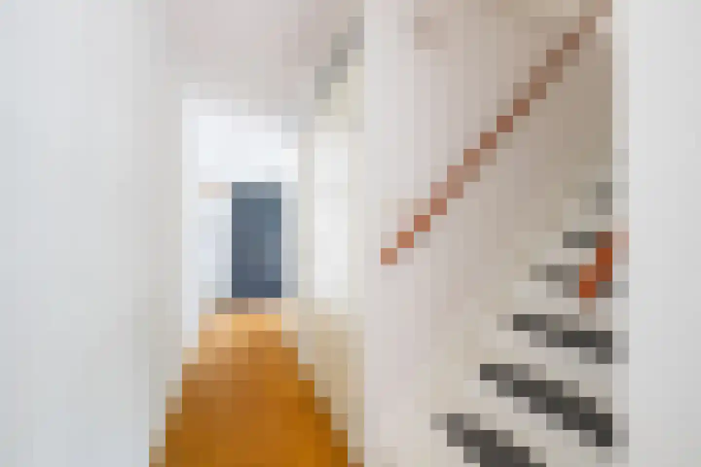 Aldegondaplantsoen 17 Maastricht thumbnail 8