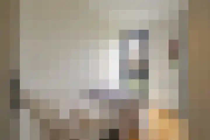 Aldegondaplantsoen 20 Maastricht thumbnail 18