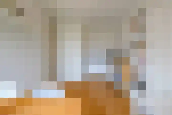 Aldegondaplantsoen 20 Maastricht thumbnail 20