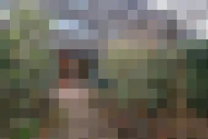 Aldegondaplantsoen 20 Maastricht thumbnail 23