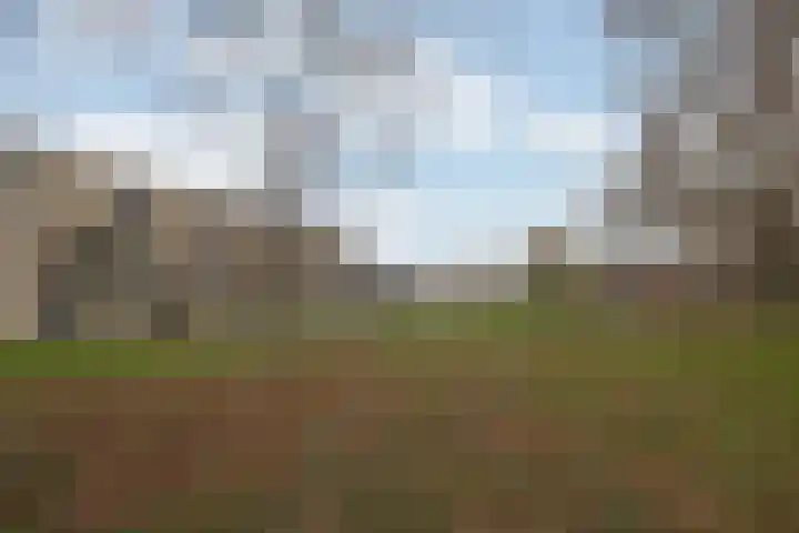 Aldegondaplantsoen 20 Maastricht thumbnail 26