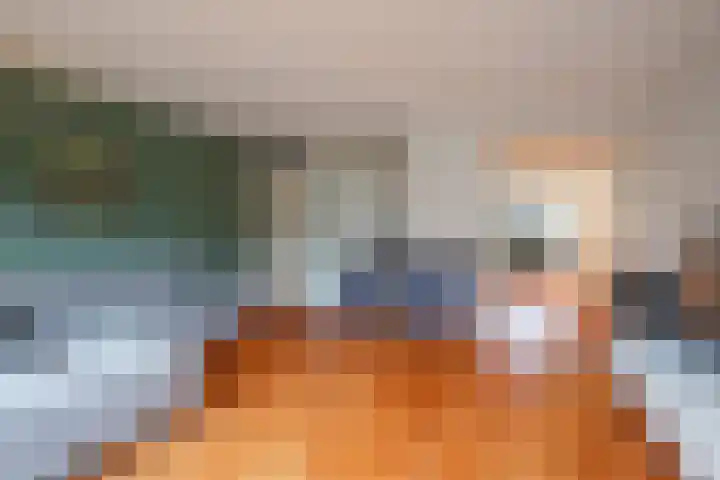 Aldegondaplantsoen 20 Maastricht thumbnail 5