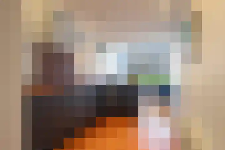 Aldegondaplantsoen 20 Maastricht thumbnail 6