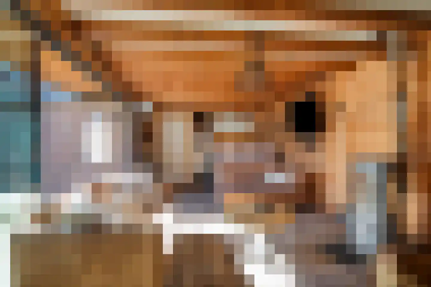 Aldegondestraat 7 Barneveld thumbnail 28