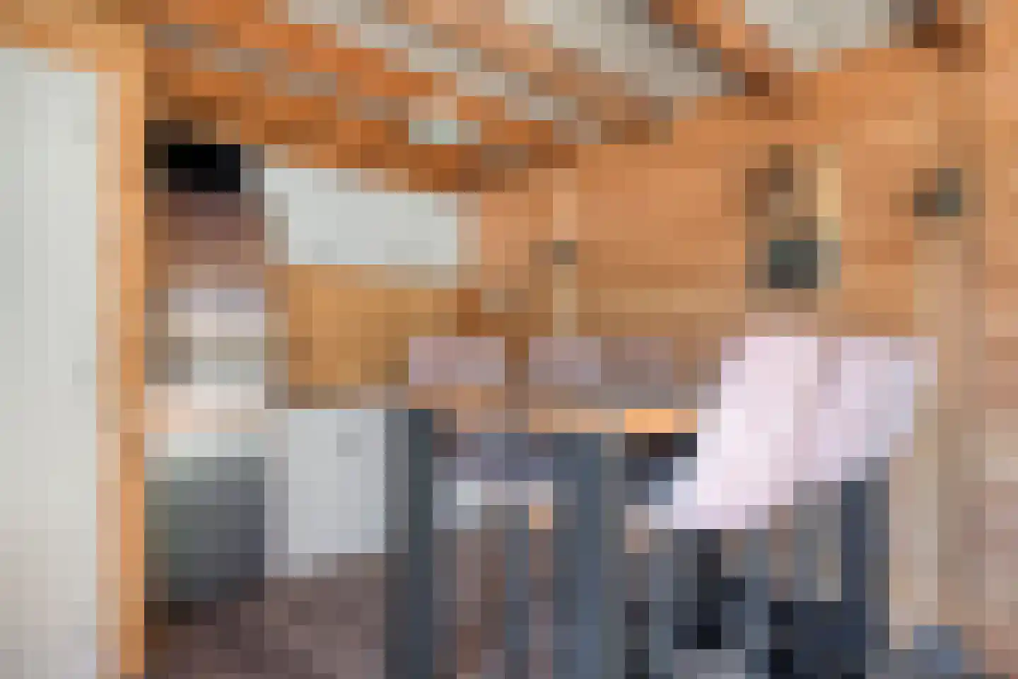 Aldegondestraat 7 Barneveld thumbnail 30