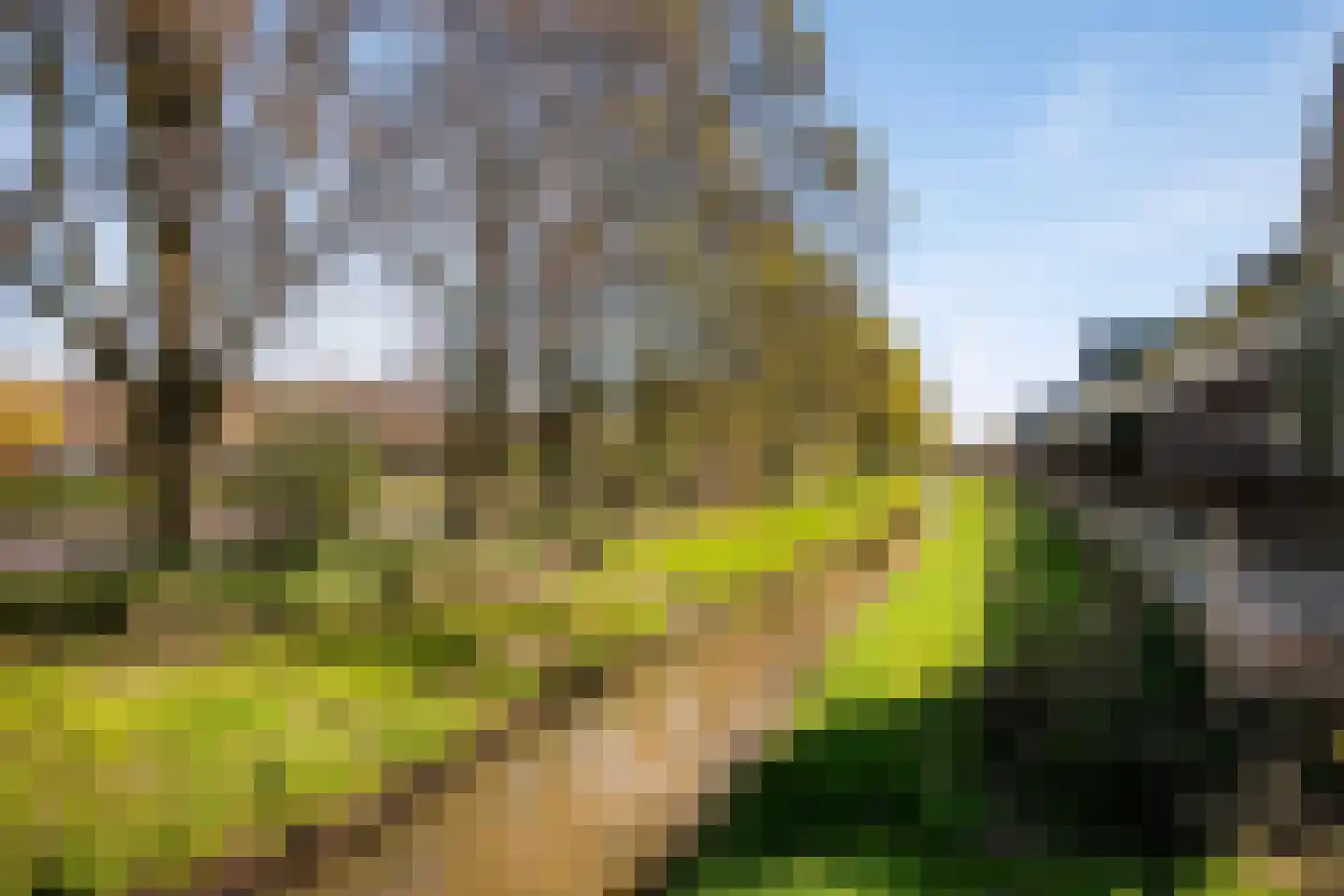 Aldegondestraat 7 Barneveld thumbnail 34