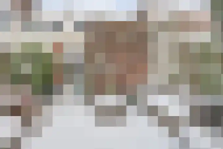 Aldegondestraat 91 Amersfoort thumbnail 31