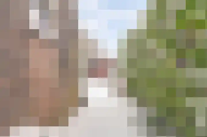 Aldegondestraat 91 Amersfoort thumbnail 32