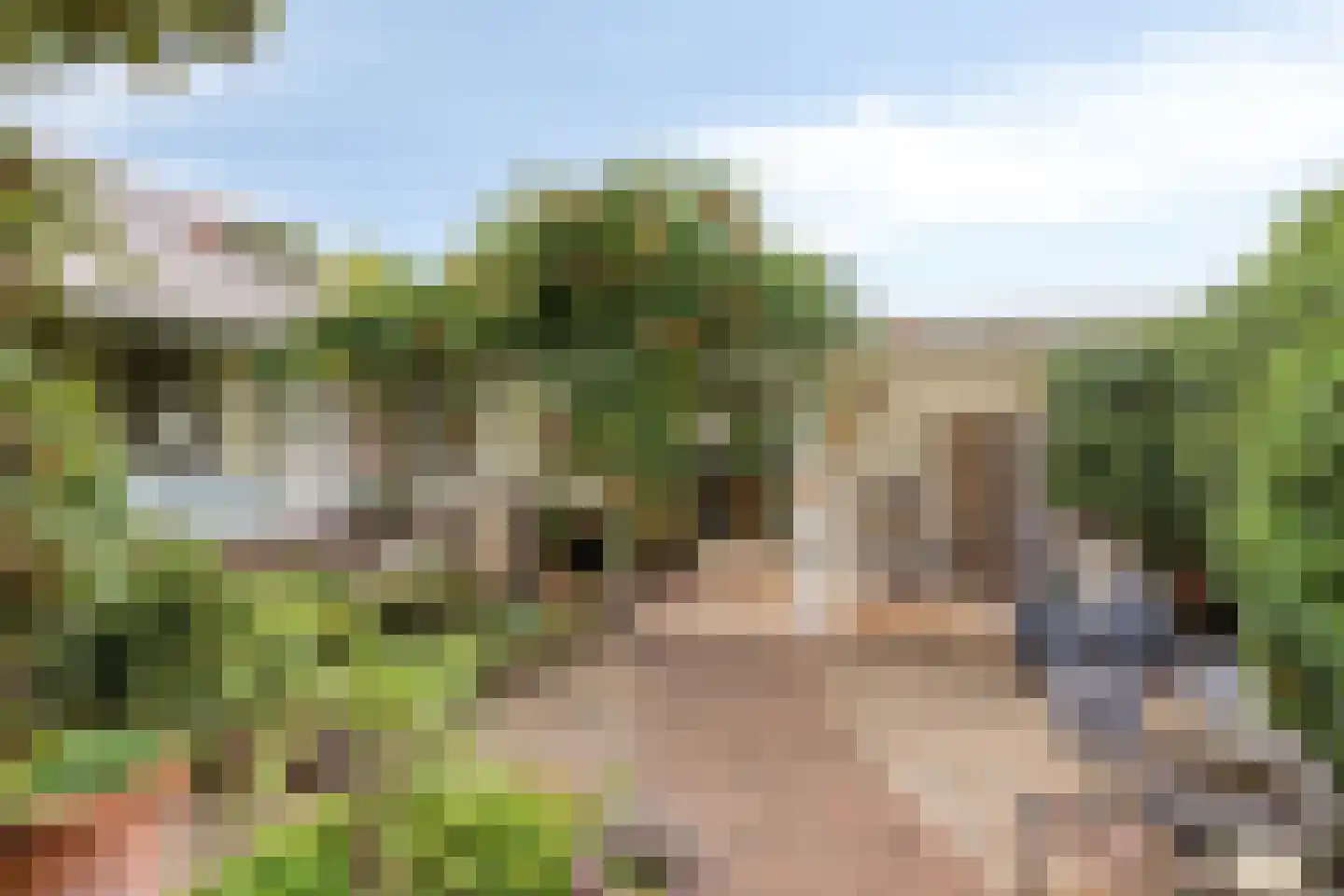 Aldenborghlaan 22 Budel thumbnail 23