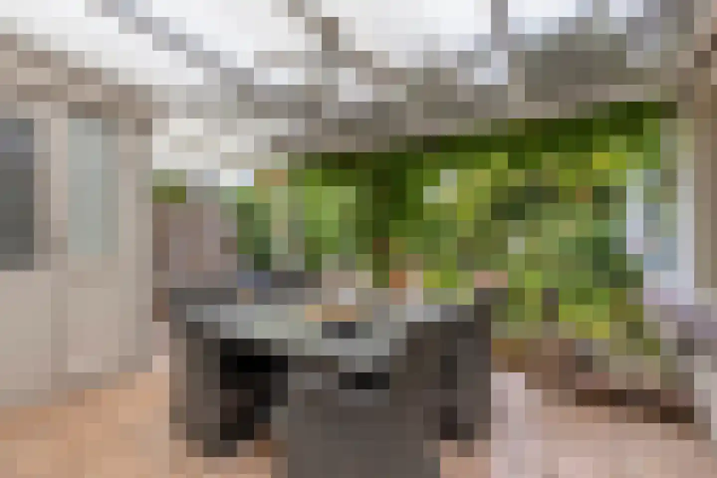 Aldenborghlaan 22 Budel thumbnail 25
