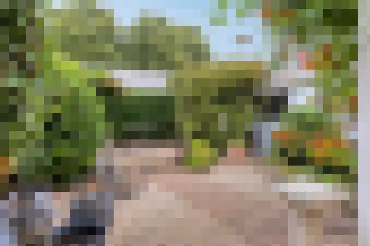 Aldenborghlaan 22 Budel thumbnail 26