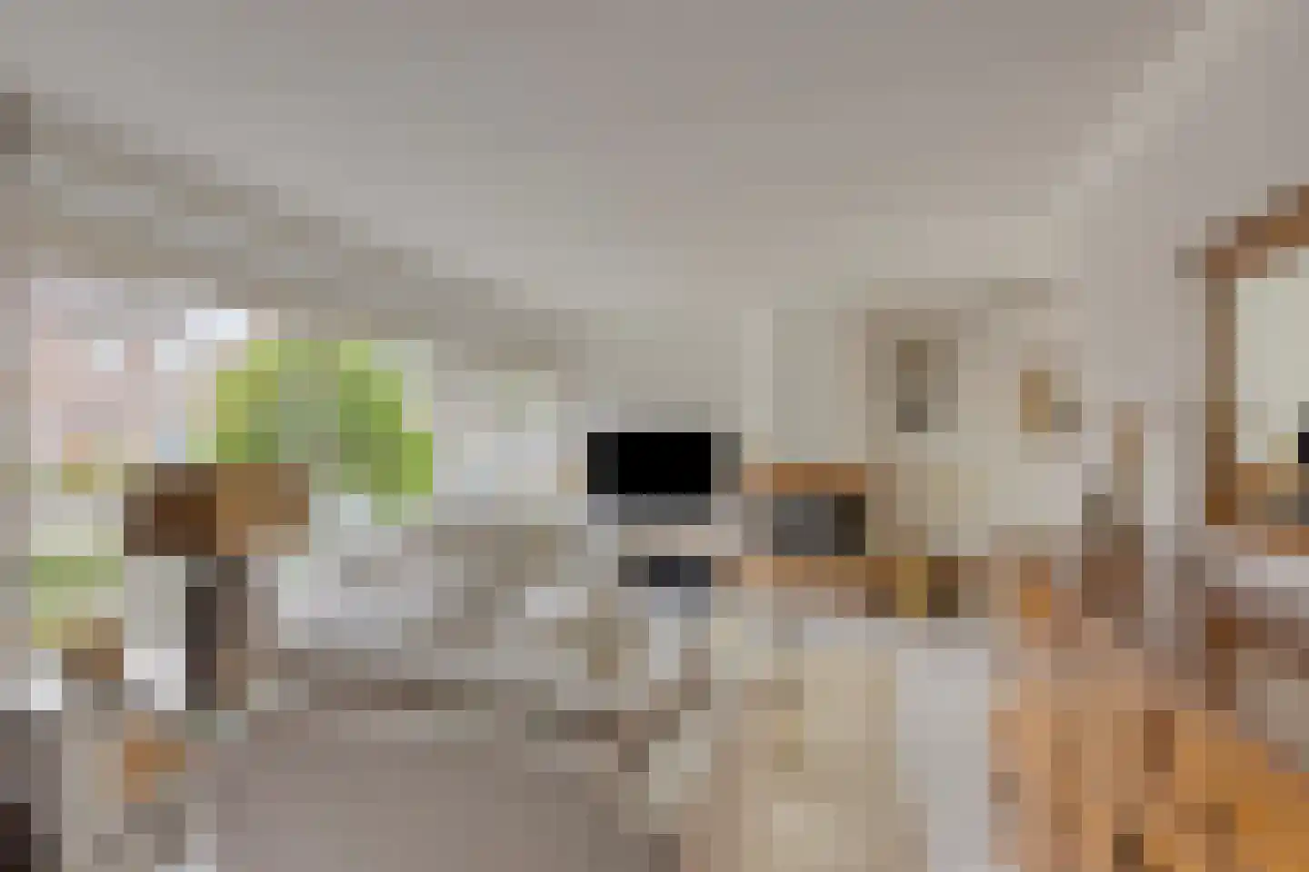 Aldenborghlaan 22 Budel foto 3