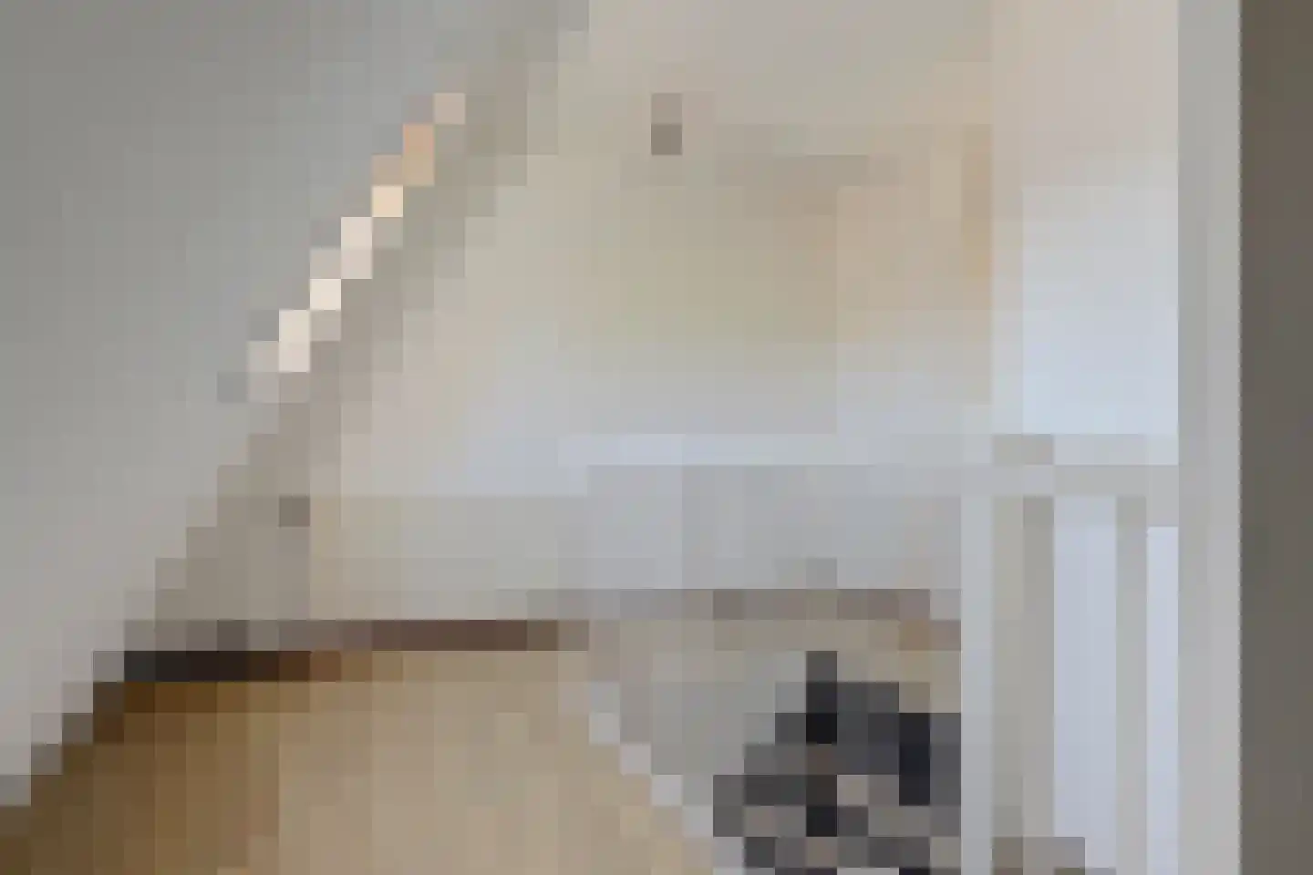 Aldendrielpad 18 Rotterdam thumbnail 16