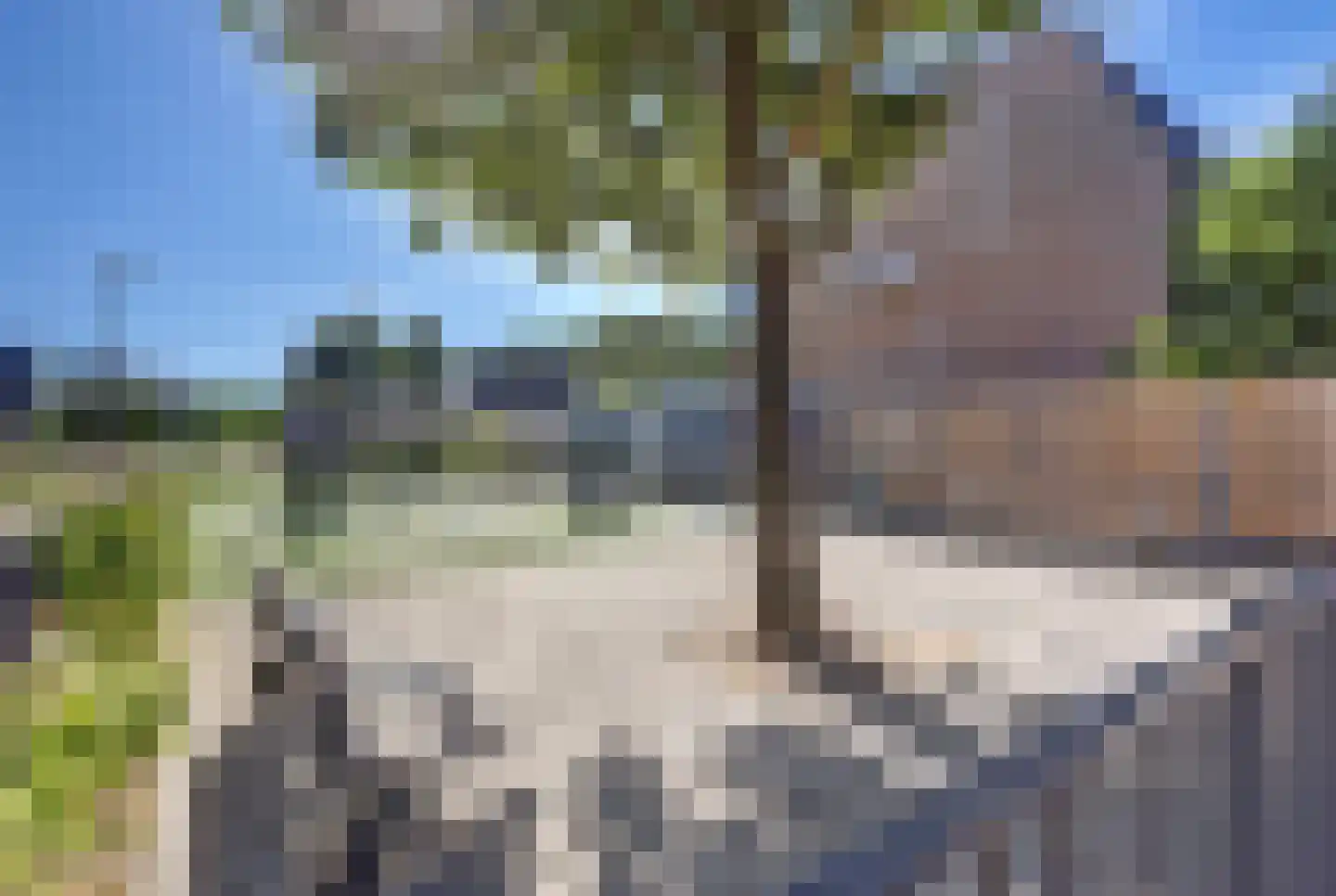 Aldendrielpad 18 Rotterdam thumbnail 24