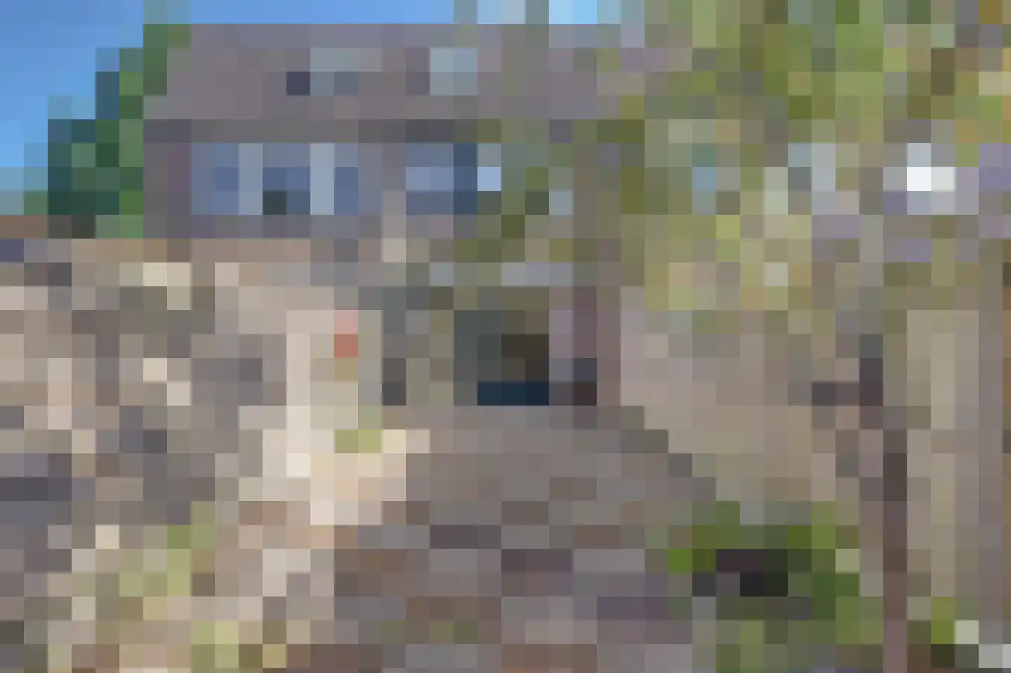 Aldendrielpad 18 Rotterdam thumbnail 6