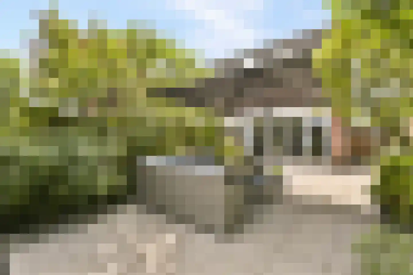 Aldendrielpad 19 Rotterdam thumbnail 14