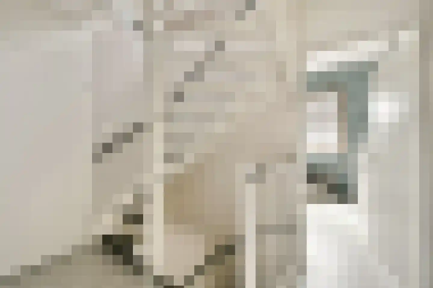 Aldendrielpad 19 Rotterdam thumbnail 7