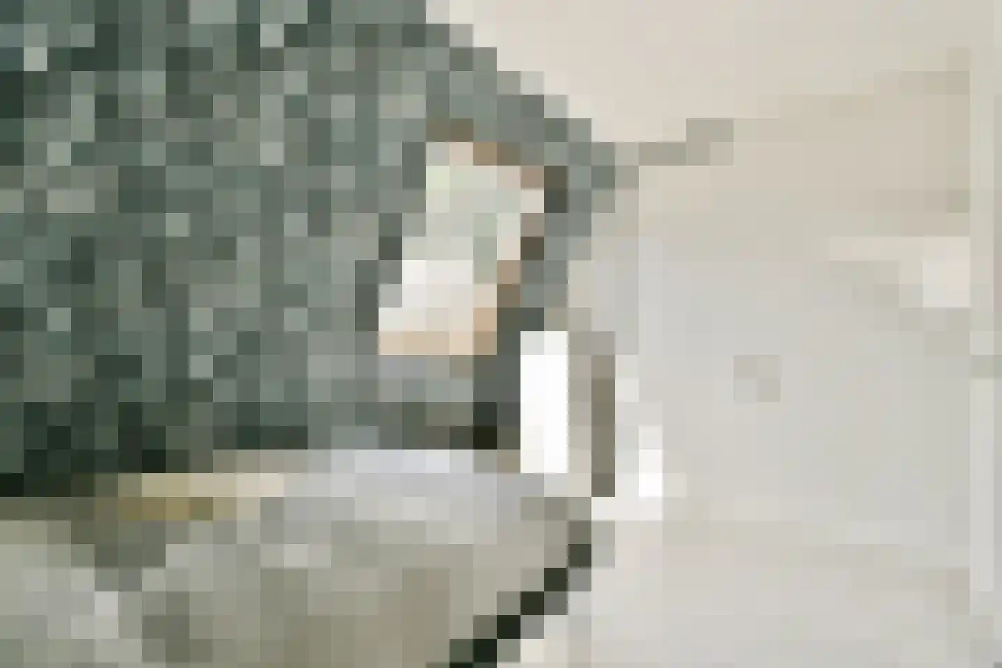 Aldendrielpad 19 Rotterdam thumbnail 19