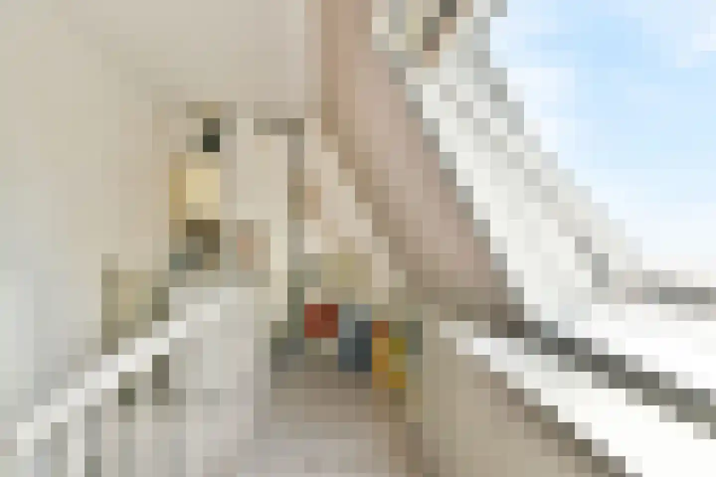 Aldendrielpad 19 Rotterdam thumbnail 26