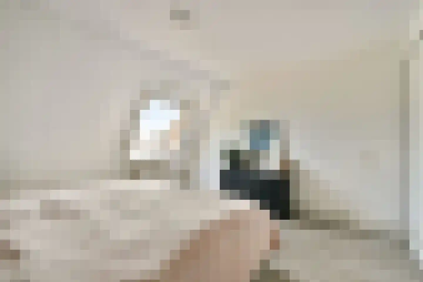 Aldendrielpad 19 Rotterdam thumbnail 27