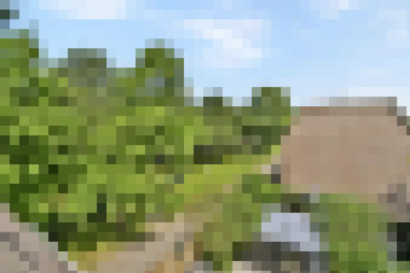 Aldendrielpad 19 Rotterdam thumbnail 29
