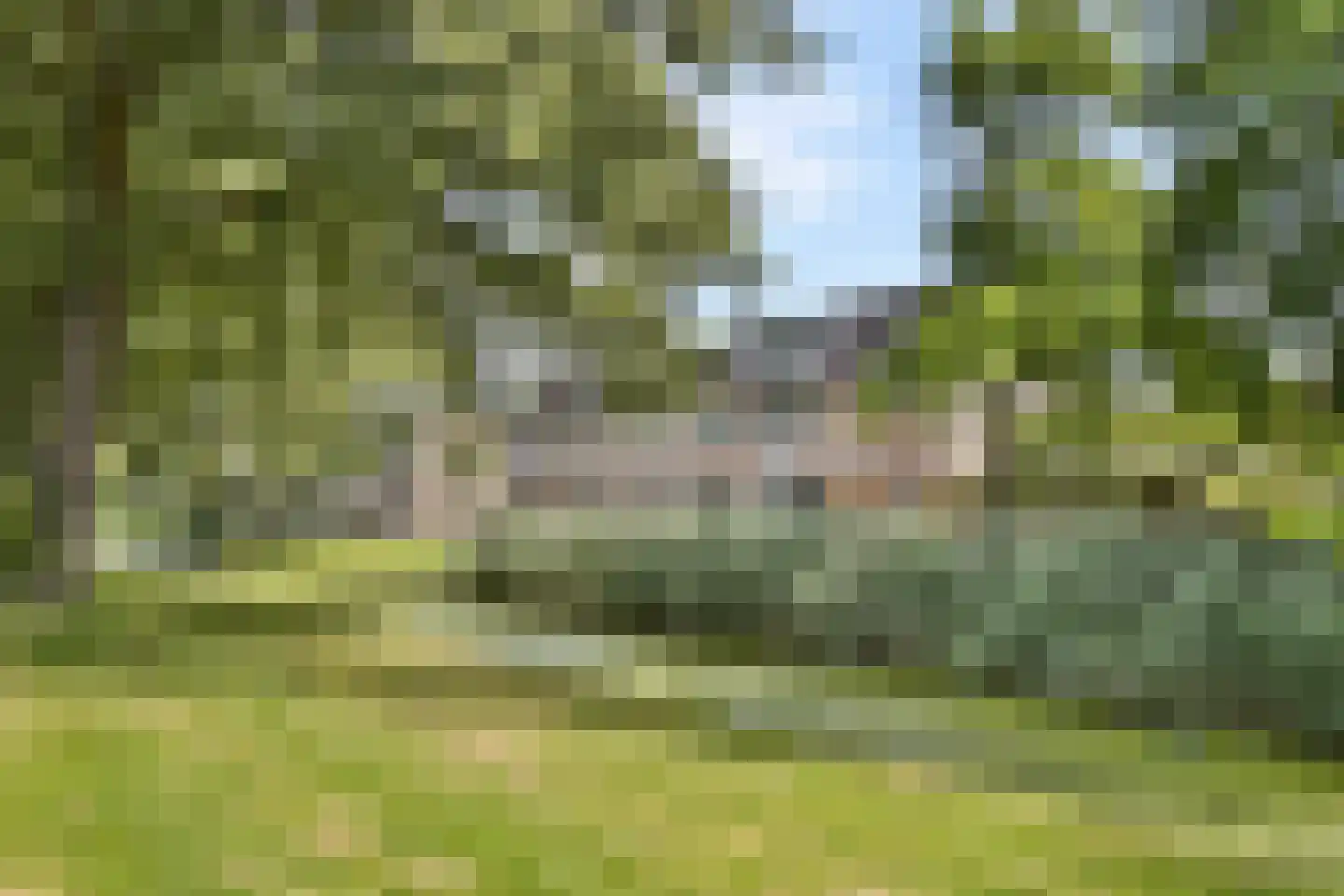 Aldendrielpad 19 Rotterdam thumbnail 30