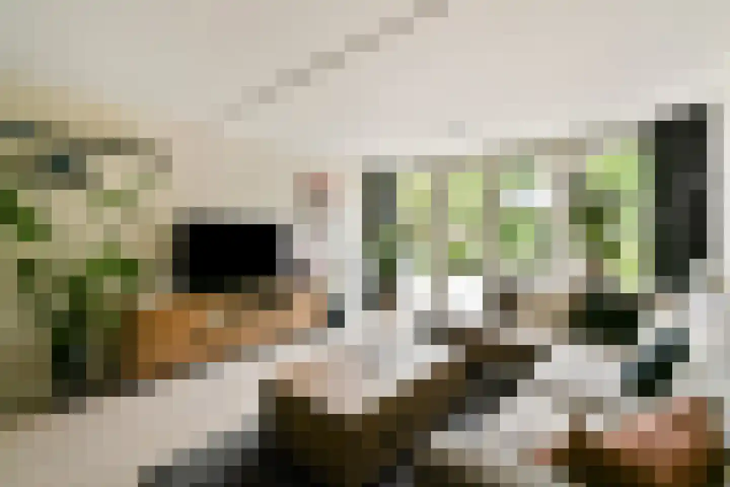 Aldendrielpad 19 Rotterdam thumbnail 6