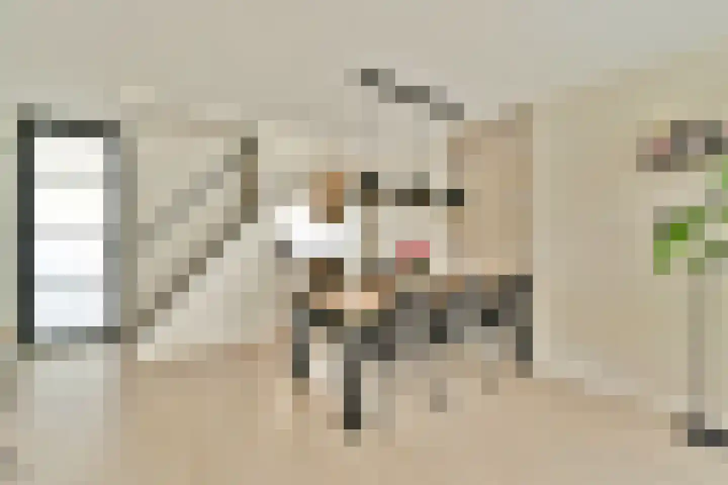 Aldendrielpad 19 Rotterdam thumbnail 9