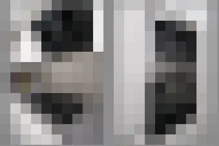 Aldendrielpad 3 Rotterdam thumbnail 12