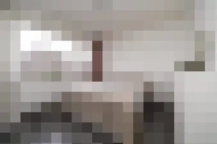 Aldendrielpad 3 Rotterdam thumbnail 15