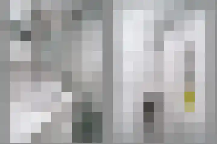 Aldendrielpad 3 Rotterdam thumbnail 17
