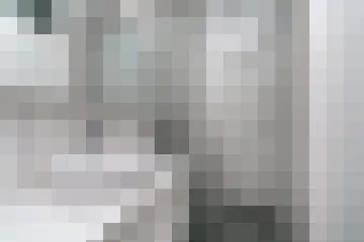 Aldendrielpad 3 Rotterdam thumbnail 18