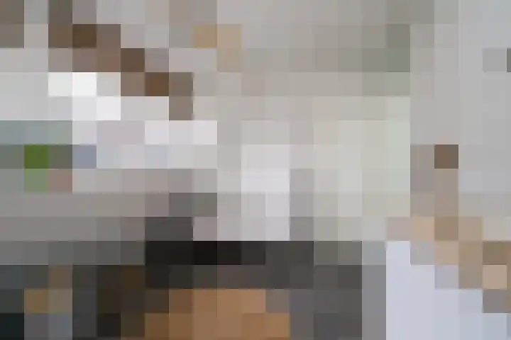 Aldendrielpad 3 Rotterdam thumbnail 19
