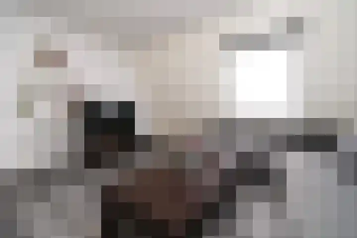Aldendrielpad 3 Rotterdam thumbnail 23