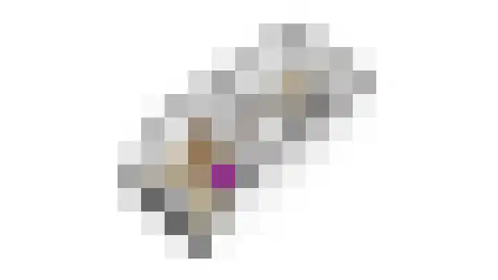 Aldendrielpad 3 Rotterdam thumbnail 31