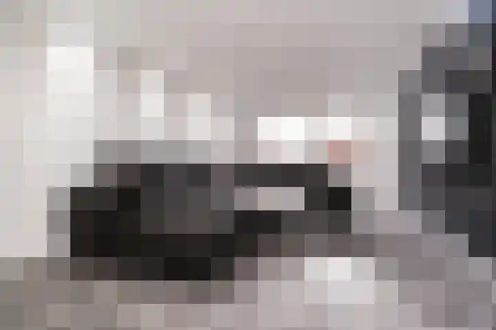 Aldendrielpad 3 Rotterdam thumbnail 6