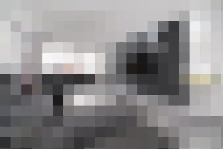 Aldendrielpad 3 Rotterdam thumbnail 8
