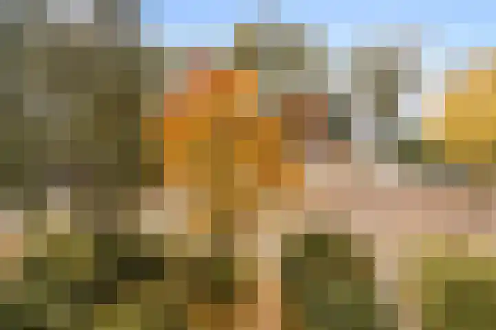 Aldengoor 11 Amsterdam thumbnail 19