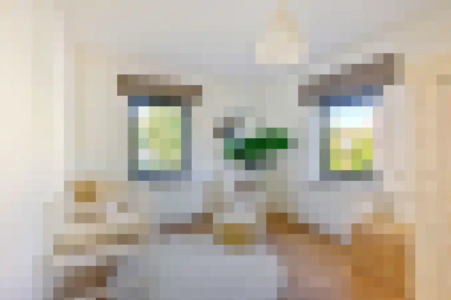 Aldengoor 2 Amsterdam thumbnail 32