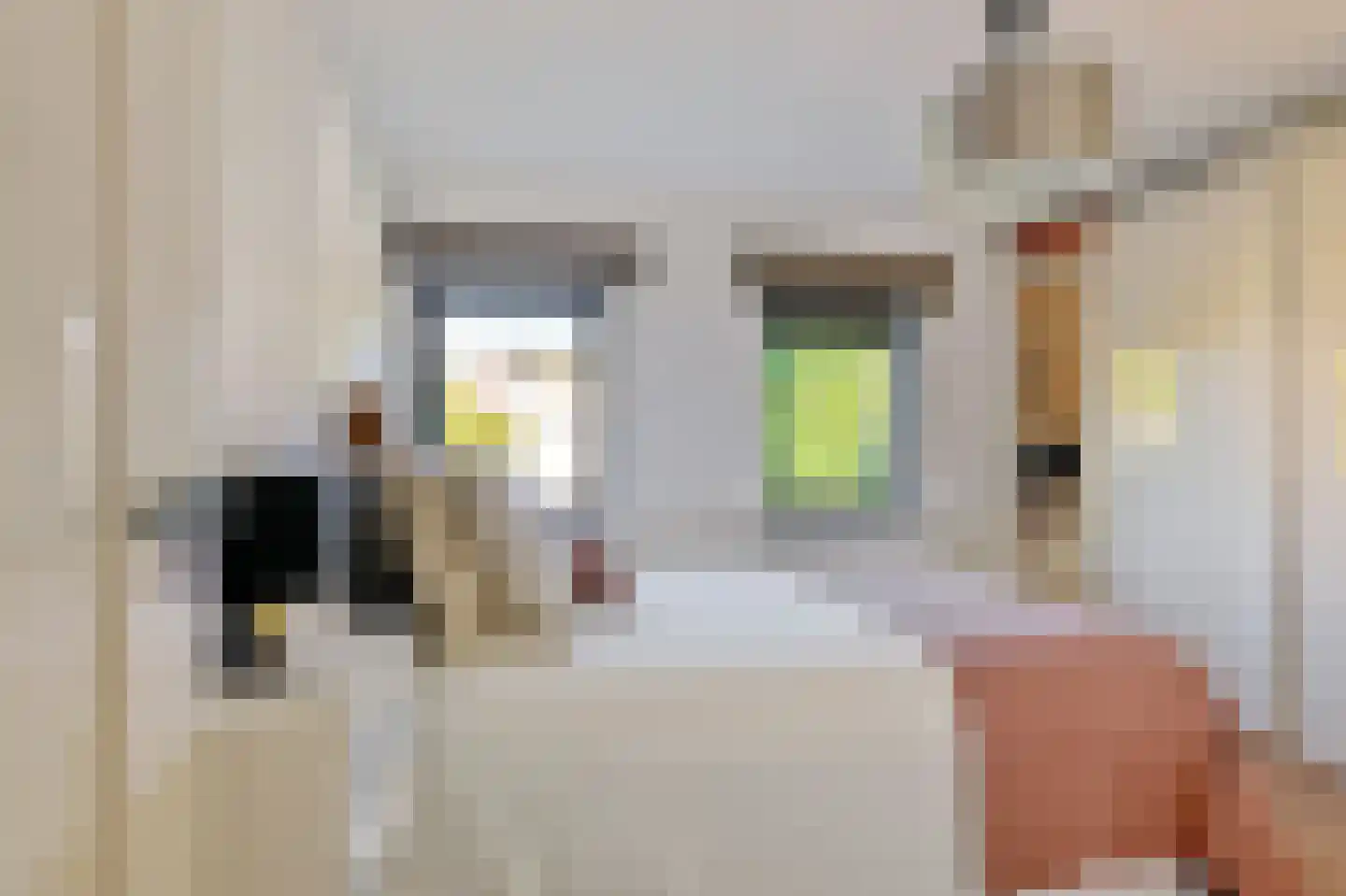 Aldengoor 2 Amsterdam thumbnail 33