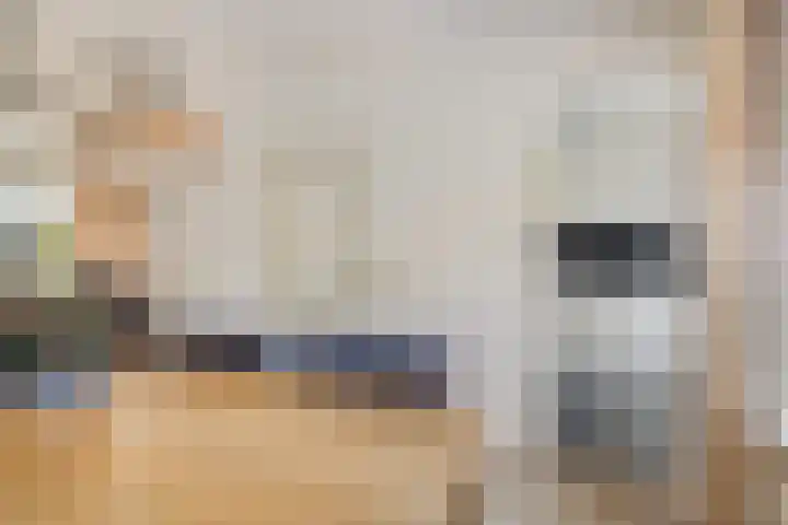 Aldengoor 23 Almelo thumbnail 10