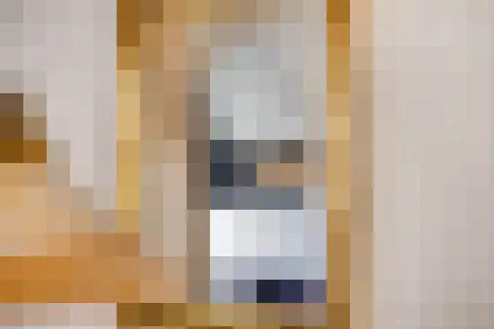 Aldengoor 23 Almelo thumbnail 11