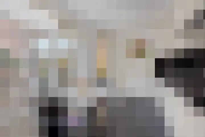 Aldengoor 23 Almelo thumbnail 13